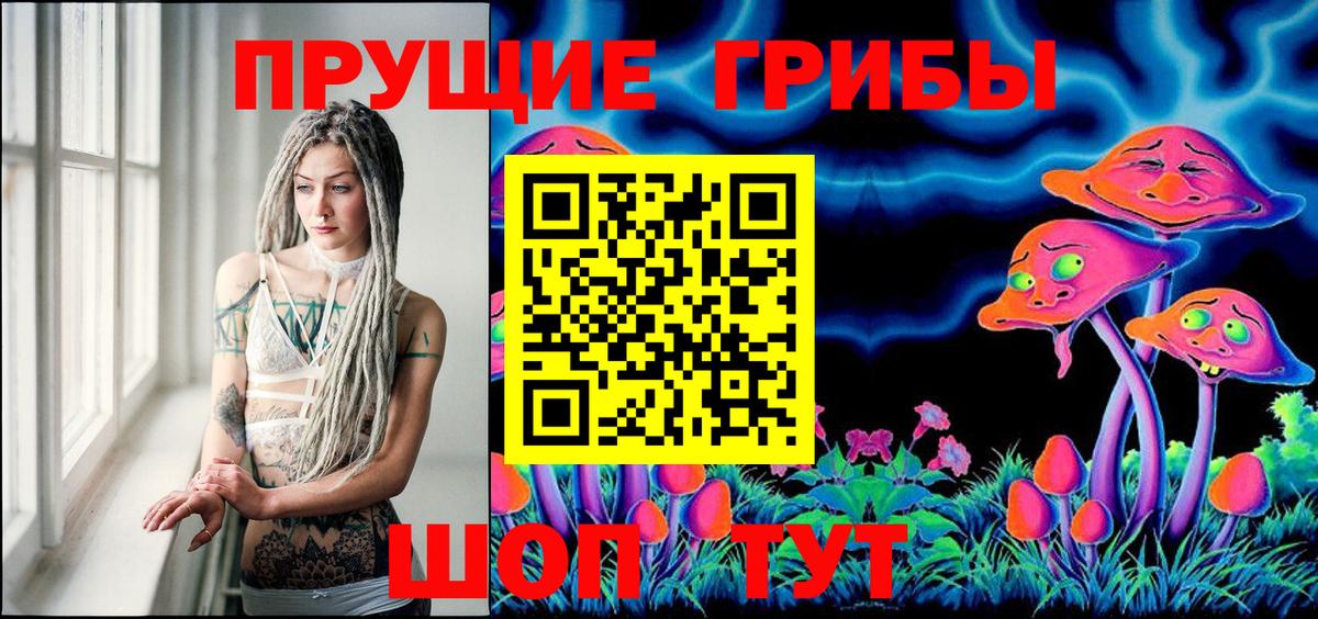 Саранск  Псилоцибиновые грибы Psilocybe  купить наркотики цена  Вход с VPN 