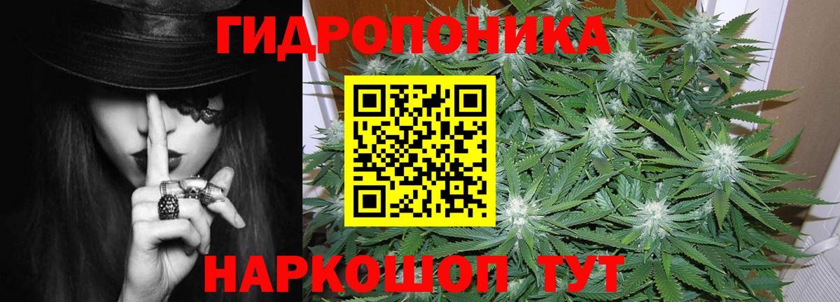 Канабис семена Саранск